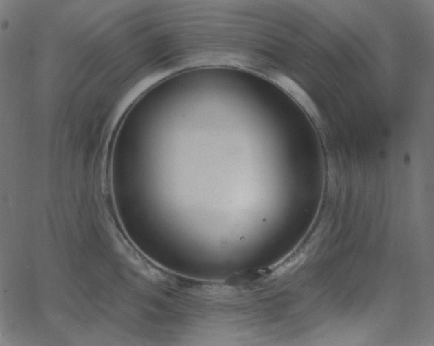 X0000068761052200605010957