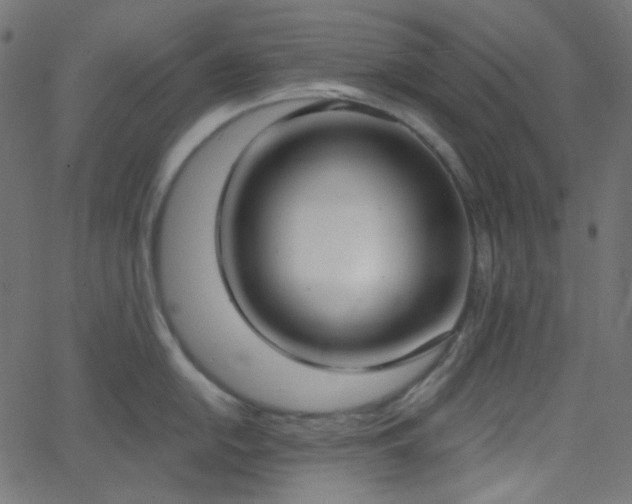 X0000068761054200605010957