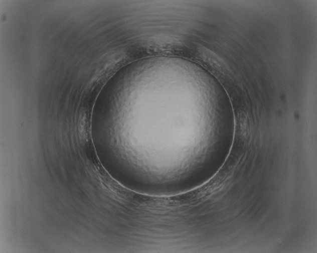 X0000068761060200605010956