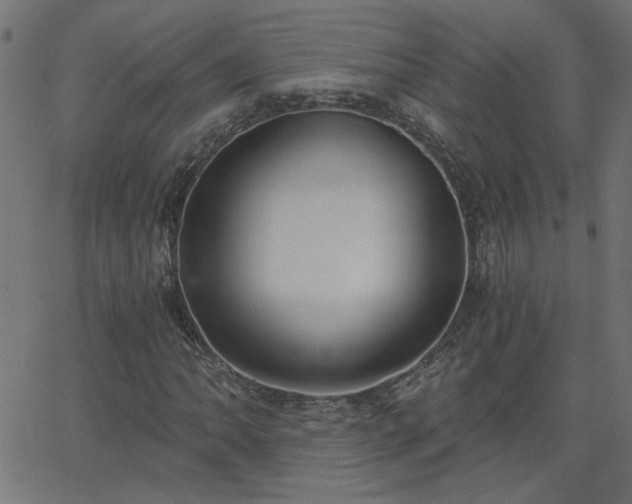 X0000068761062200605010956