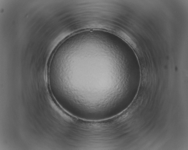 X0000068761084200605010955