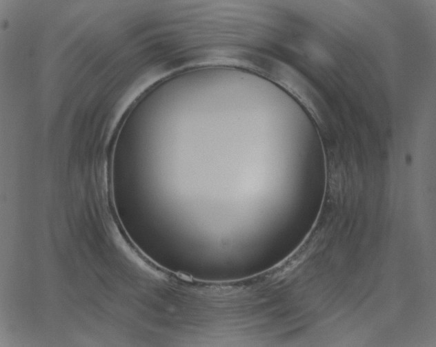 X0000068761092200605010955