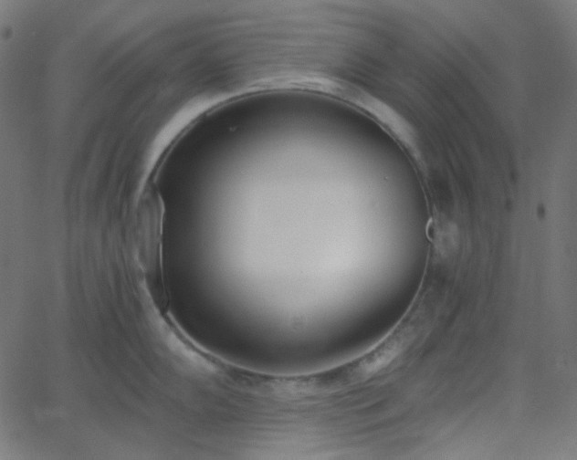 X0000068761102200605010955