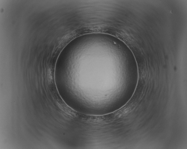 X0000068761106200605010954