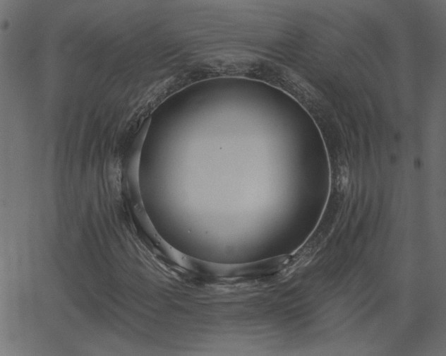 X0000068761108200605010954