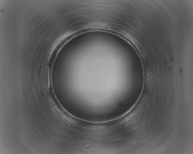 X0000068761123200605010955