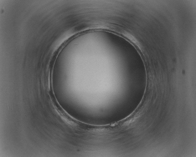 X0000068761127200605010955