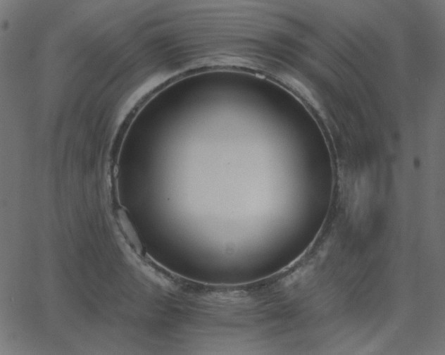 X0000068761133200605010955