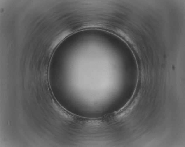 X0000068761137200605010955