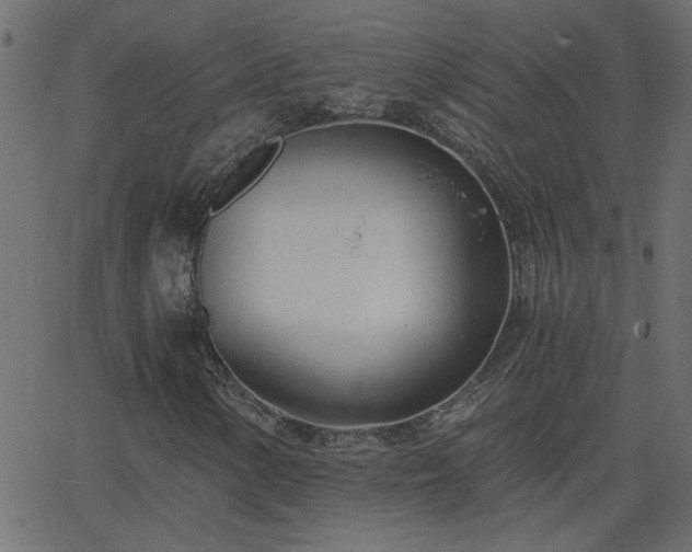 X0000068761154200605010954