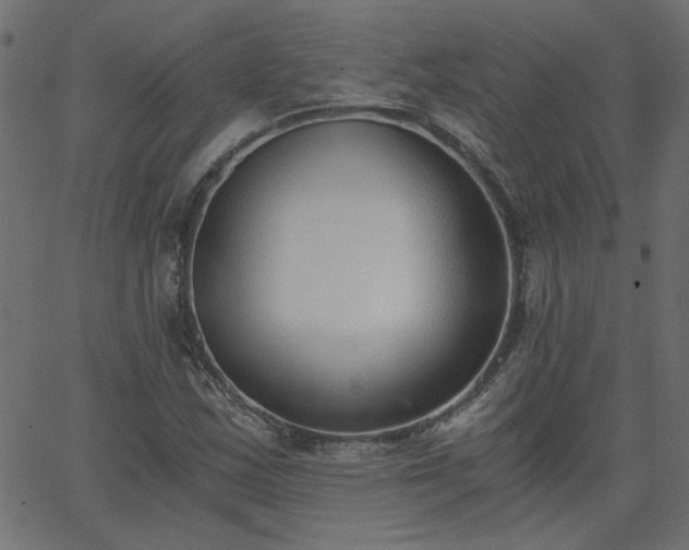 X0000068761163200605010954