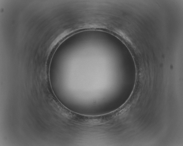 X0000068761173200605010954