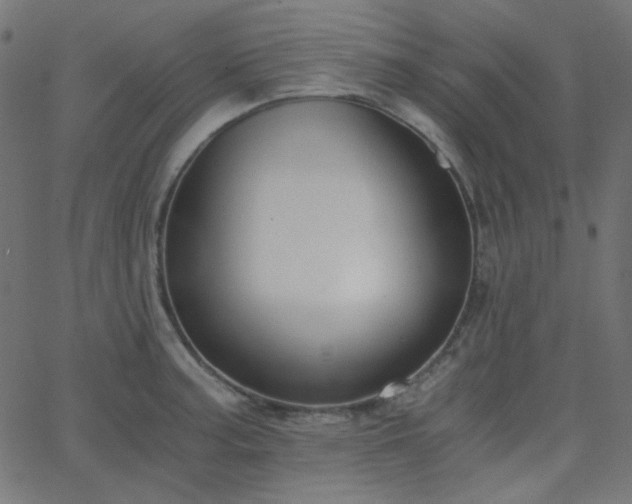 X0000068761187200605010954