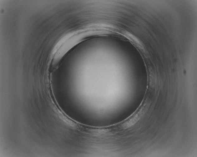 X0000068761192200605010954
