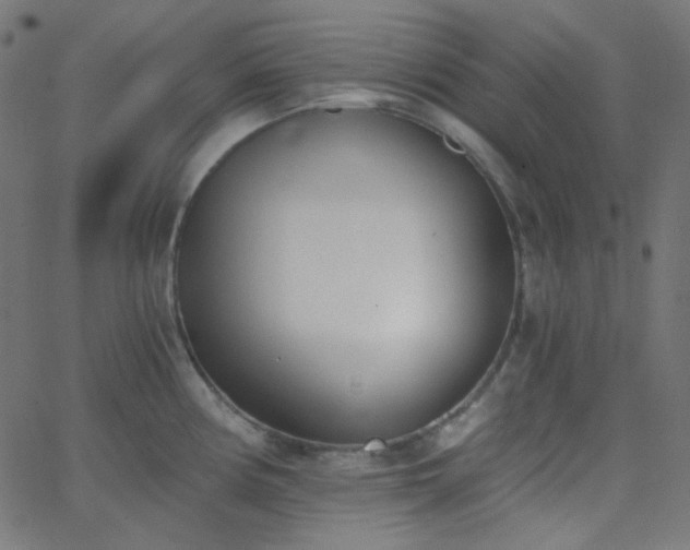 X0000068761194200605010954