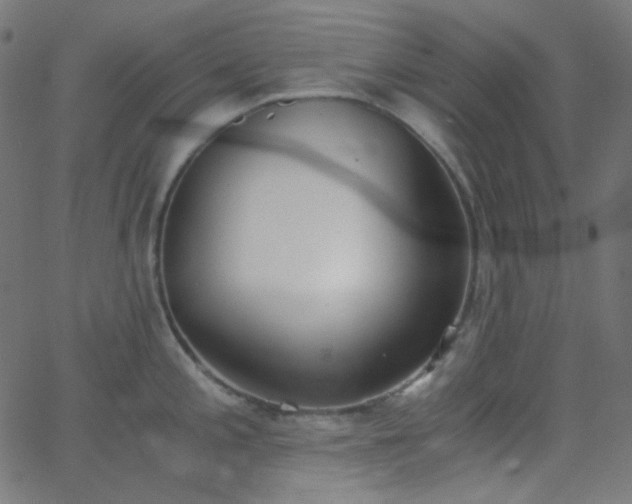 X0000068761197200605010954