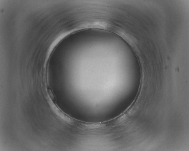 X0000068761200200605010954