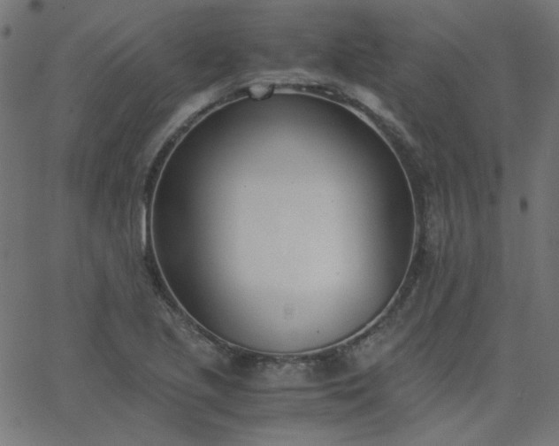 X0000068761221200605010953