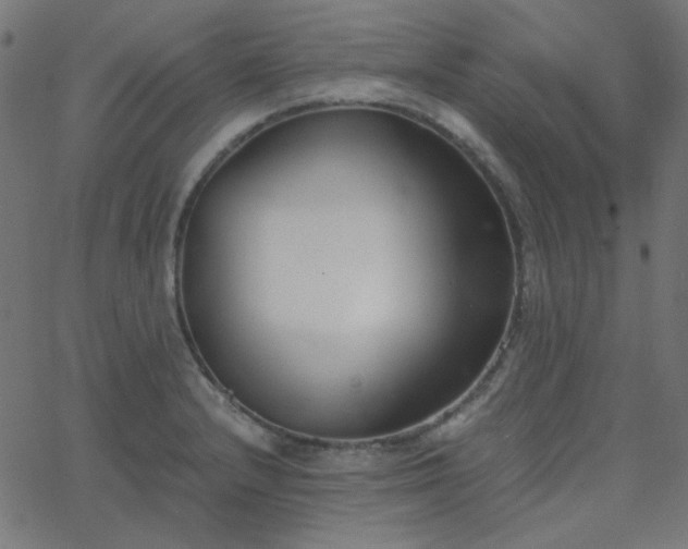X0000068761232200605010953