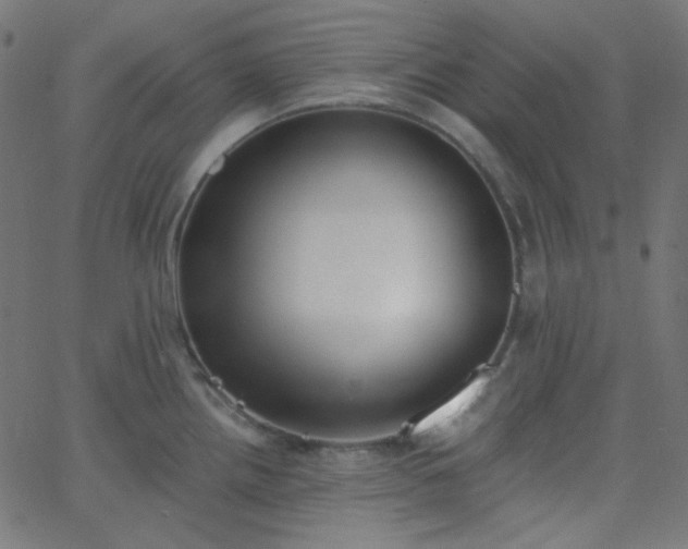 X0000068761242200605010954