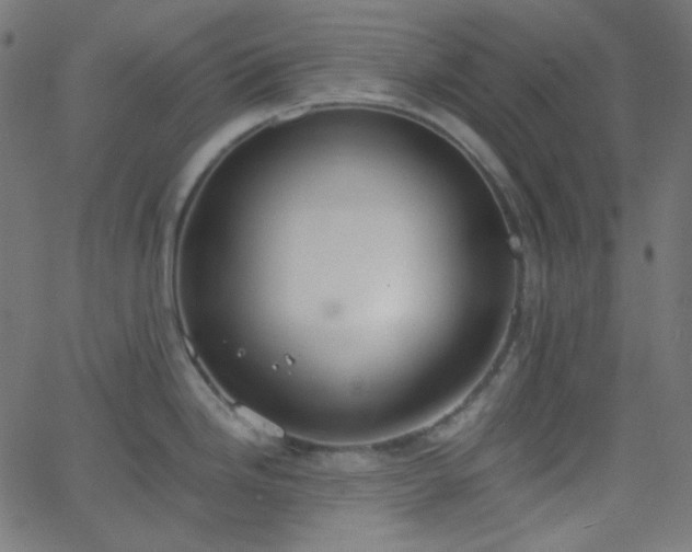 X0000068761246200605010954
