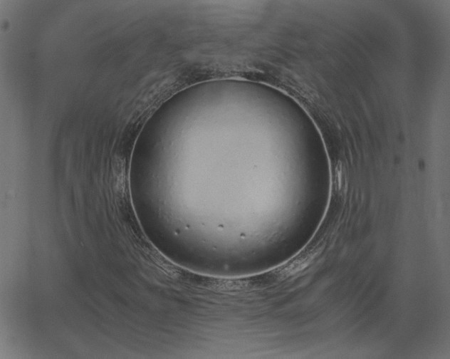 X0000068761251200605010953
