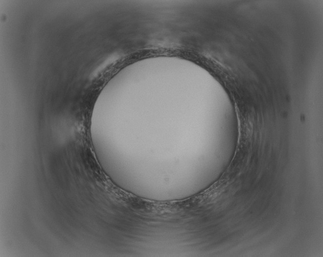 X0000068761254200605010953