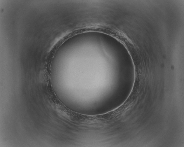 X0000068761256200605010953
