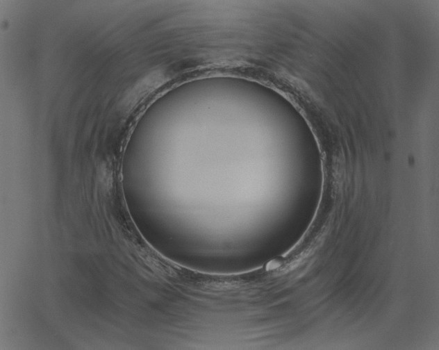 X0000068761257200605010953