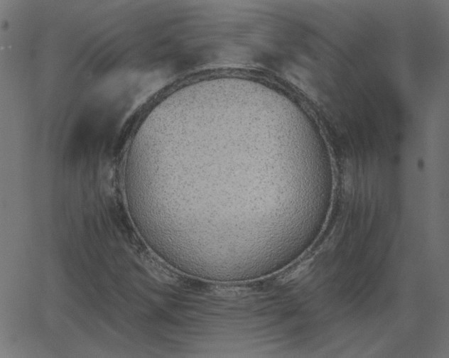 X0000068761258200605010953