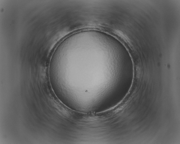 X0000068761260200605010953