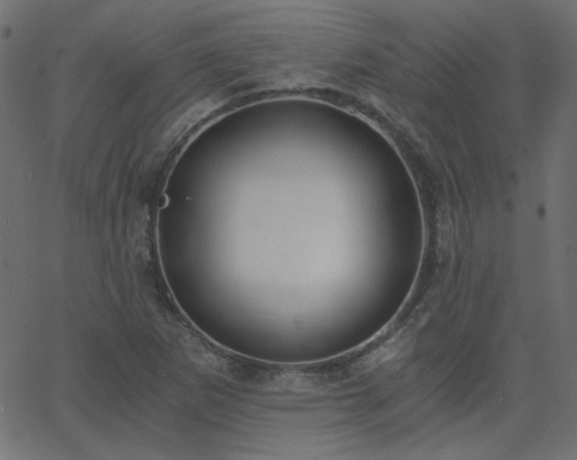 X0000068761265200605010953