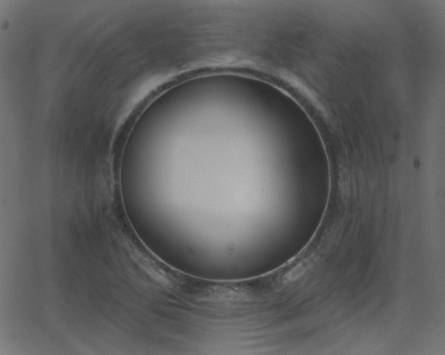 X0000068761270200605010952
