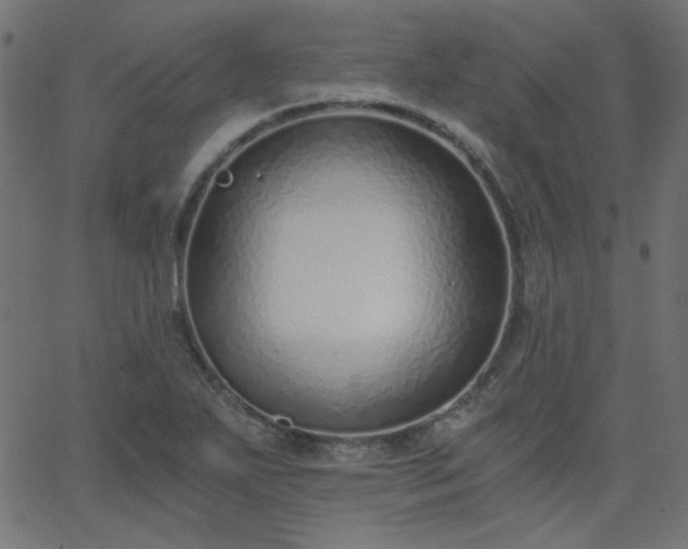 X0000068761271200605010952