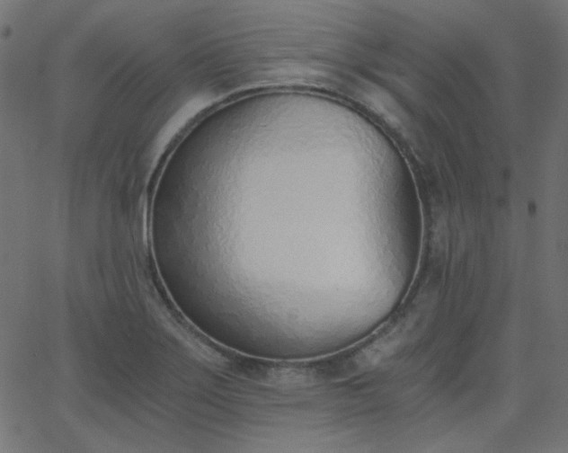 X0000068761275200605010952