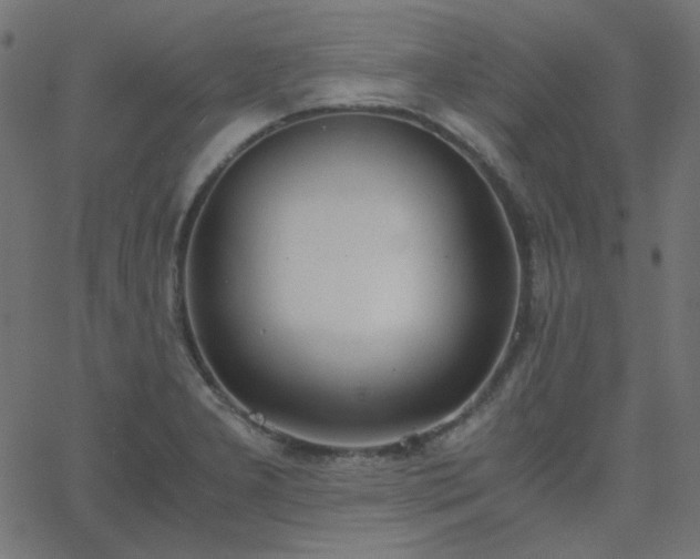 X0000068761277200605010952