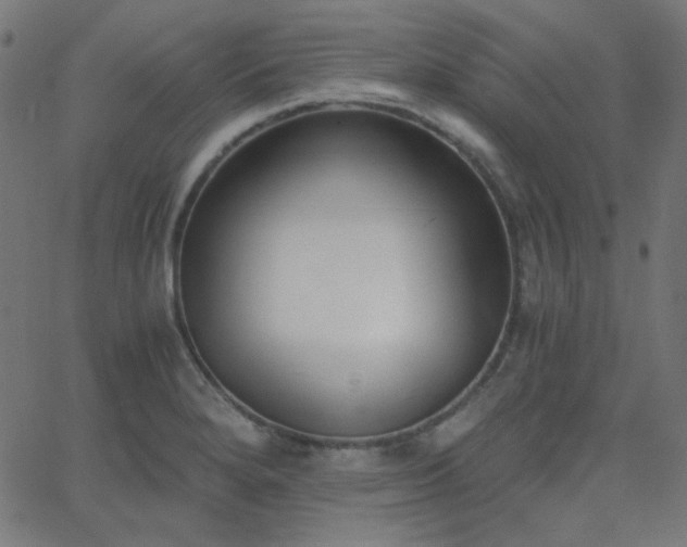 X0000068761280200605010952