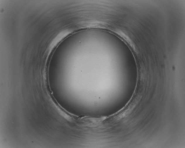 X0000068761285200605010952