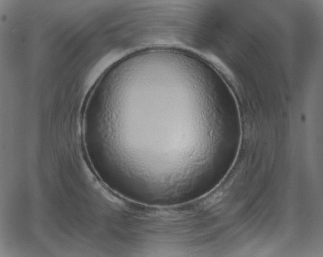 X0000068761287200605010952
