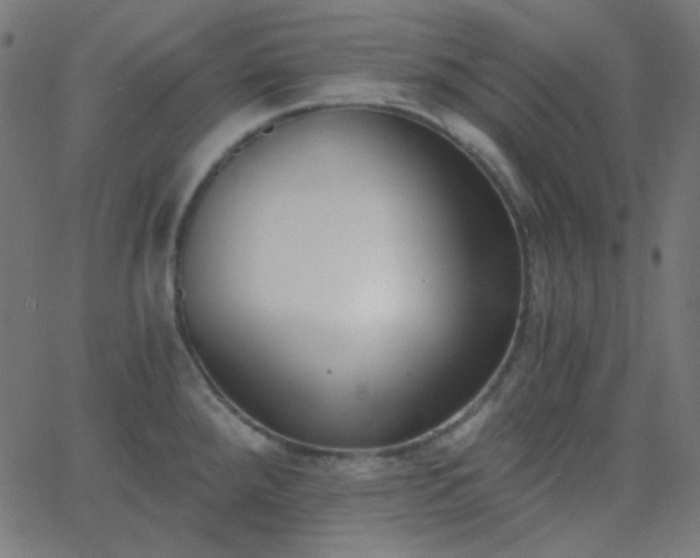 X0000068761288200605010952