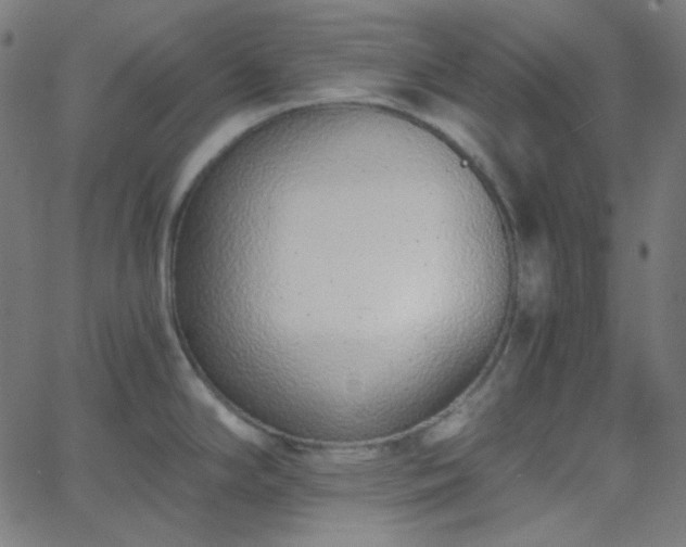 X0000068761294200605010952