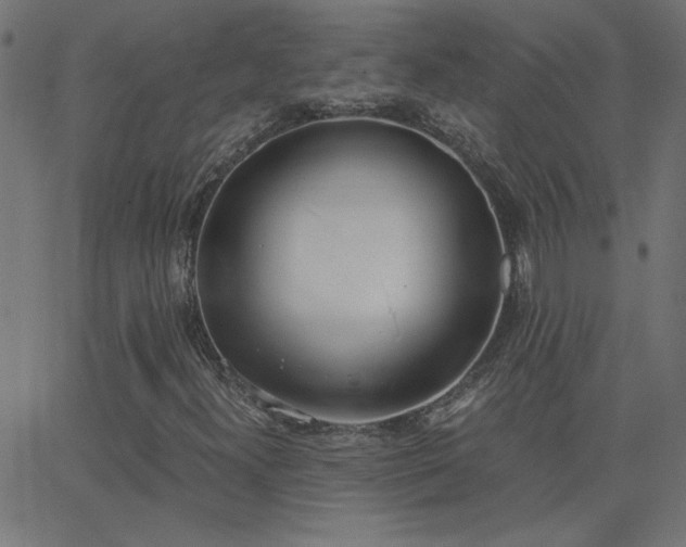 X0000068761300200605010951