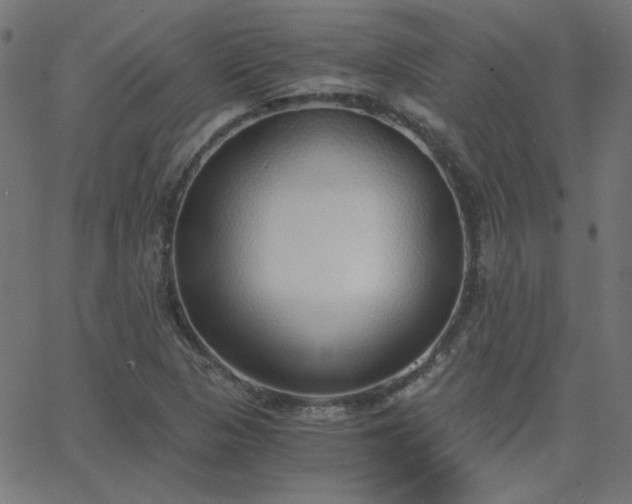 X0000068761313200605010952