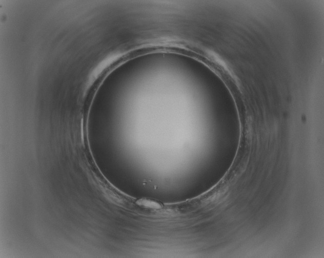 X0000068761320200605010952