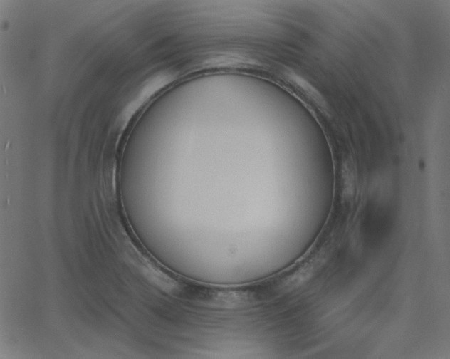 X0000068761322200605010952