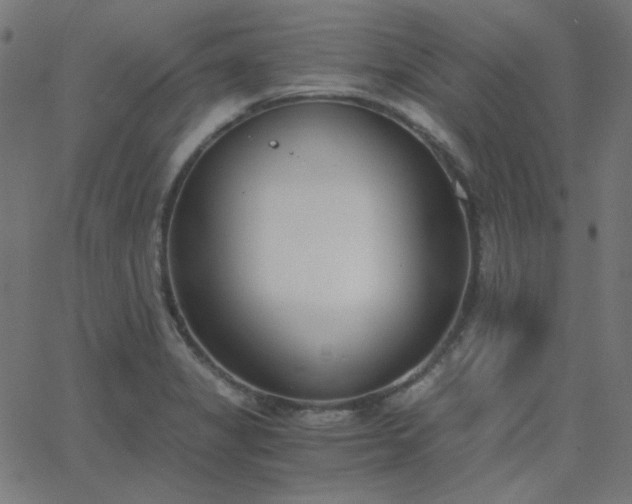 X0000068761325200605010952