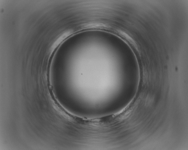 X0000068761330200605010952