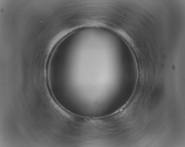 X0000068761335200605010952