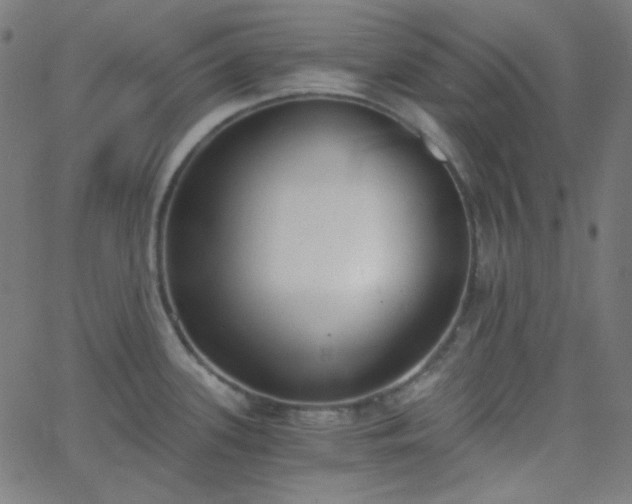 X0000068761339200605010952
