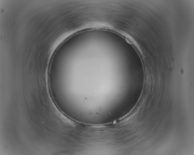 X0000068761343200605010952